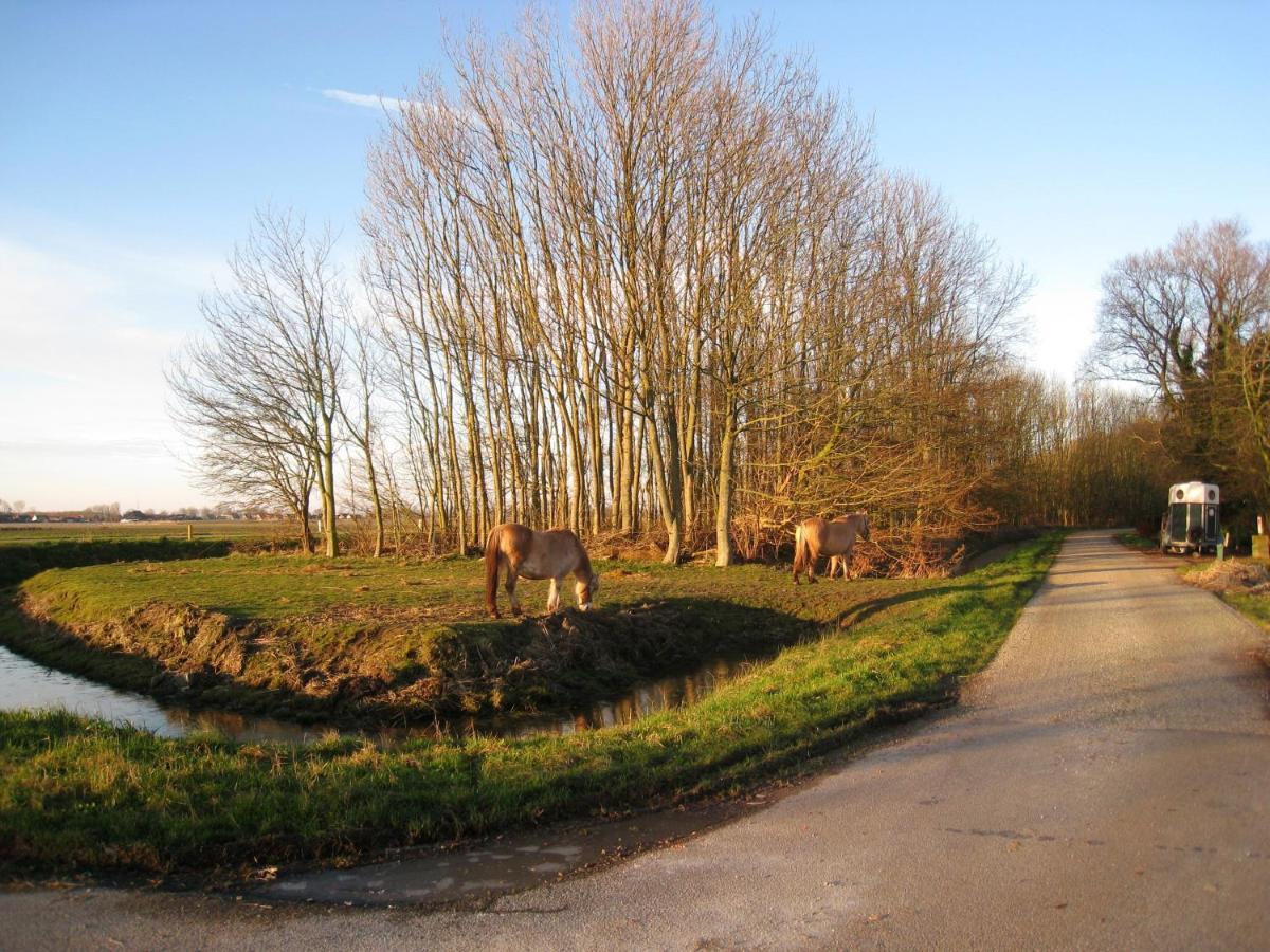 Haus Kormoran Am Lauwersmeer 175 Anjum Eksteriør billede