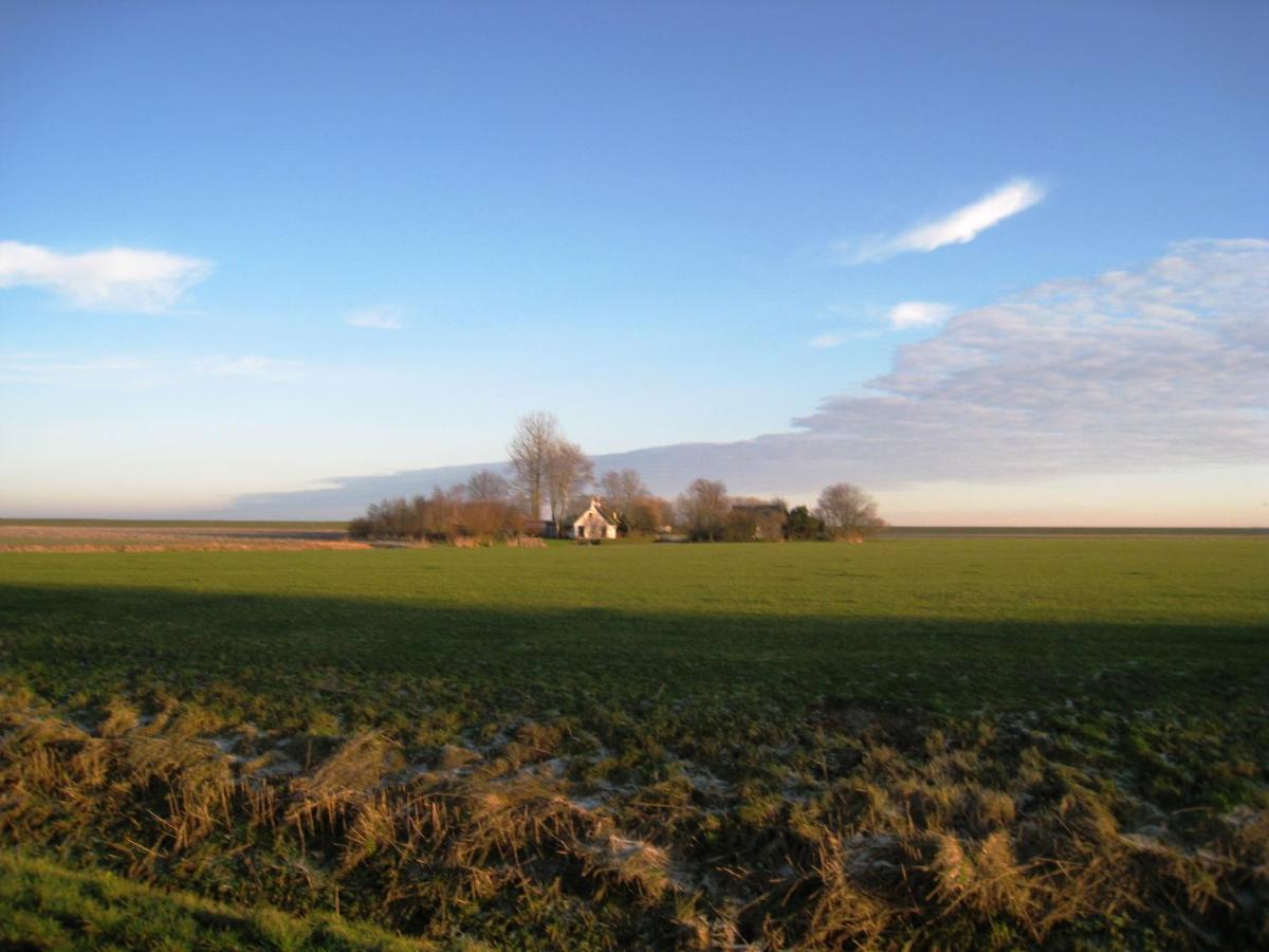 Haus Kormoran Am Lauwersmeer 175 Anjum Eksteriør billede
